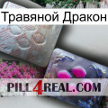 Травяной Дракон 38